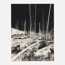 Glen Baldridge, Dead as Dreams, 2006, archival inkjet print