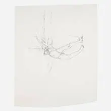 Chloe Piene, Lo, 2001, charcoal on paper