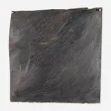 Nancy Rubins, Untitled, c. 1992, graphite on paper, steel pushpins