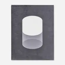 Marieta Chirulescu, Untitled (Forma 1), 2010, photocopy on canvas