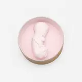 Rachel Lachowicz, Pink Fetus, c. 1992, cosmetic compound with face powder and hydrocal binder