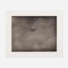 Vija Celmins, Untitled (Web 3), 2002, aquatint and drypoint on Hahnemühle Copperplate