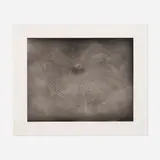 Vija Celmins, Untitled (Web 3), 2002, aquatint and drypoint on Hahnemühle Copperplate