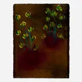 Burned Black Ikebanas Drawing by Dale Chihuly, 2007, acrylic on Arches, sold May 2025