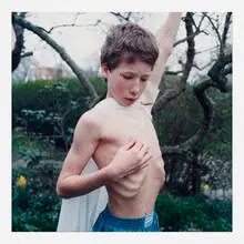 Untitled (no. 139) by Hellen van Meene, c-print, sold Oct 2022