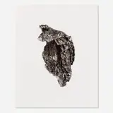 Roni Horn, To Place: Lava