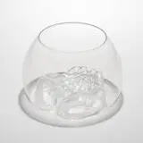 Do Ho Suh, Bowl with Hands (Peter Norton Family Christmas Project), 2004, hand-blown glass