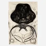 Terry Winters, Section, 1991, lithograph in four colors on Torinoko