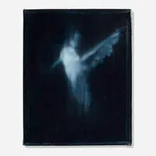 Ross Bleckner, Untitled, 2015, oil on canvas