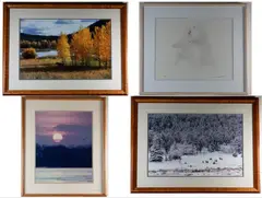 Tom Mangelsen, Four framed photographs, Ink numbered, dated (2004), and signed at base