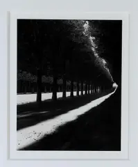 Pathway by Michael Kenna, Verso label signed and numbered inscribed as follows: "This sepia toned silver gelatin photographic print is number 36 i, offered Sep 2023