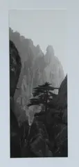 Lois Conner, Huang Shan, Platinum photograph
