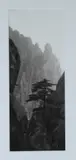 Lois Conner, Huang Shan, Platinum photograph