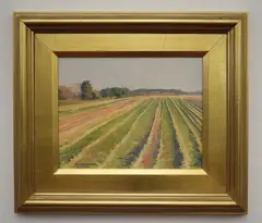 Paula Waterman, A Landscape of Field Bordering Trees, Oil on masonite, signed lower left