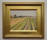 Paula Waterman, A Landscape of Field Bordering Trees, Oil on masonite, signed lower left