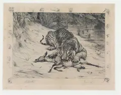 Evert van Muyden, Etching of a Tiger and Antelope, With multiple border vignettes; signed in pencil outside