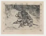 Evert van Muyden, Etching of a Tiger and Antelope, With multiple border vignettes; signed in pencil outside
