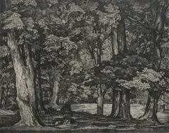 Luigi Lucioni, Tree Tapestry, Etching