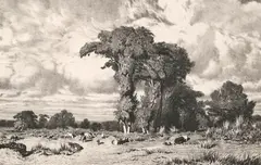 Jules Dupré, Pacages du Limousin, Crayon lithograph on wove paper