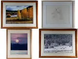 Tom Mangelsen, Four framed photographs, Ink numbered, dated (2004), and signed at base