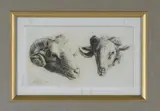 Karel du Jardin, Studies of Ram's Heads, Etching after a drawing by Karel Du Jardin