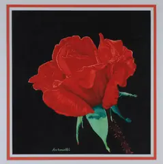 Piero Antonelli, Red Rose, Watercolor