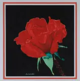 Piero Antonelli, Red Rose, Watercolor