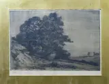 American School, Landscape with large Tree, 1907, Etching