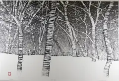 Ted Colyer, Night Sky, 1980, Pencil numbered, titled, signed and dated at base