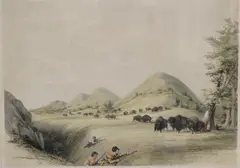 George Catlin, Buffalo Hunt, Color lithograph no. 11 from Catlin's North American Indian Collection; 19th century