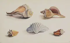 Untitled by Joan Warburton, watercolour 34 x 52.5cm ., sold Feb 2022