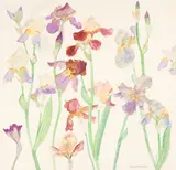 ' Irises II ' by Obe Ra Rsa Rsw Rgi DLitt Dame Elizabeth Blackadder, offered Aug 2012
