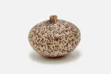 Doyle Lane, Weed Pot, 1960s, mid-1960s Glazed earthenware