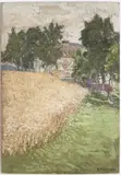 Alois Kalvoda, Cornfield