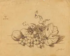 Johann Wilhelm Preyer, Stillleben mit Weintrauben und Pfirsichen, 1844, Tuschfederzeichnung auf Papier