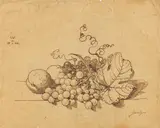 Johann Wilhelm Preyer, Stillleben mit Weintrauben und Pfirsichen, 1844, Tuschfederzeichnung auf Papier