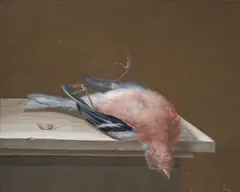 Deutsche Schule, Erlegter Fink, Gouache auf Papier