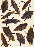 Günther Uecker, Brocken, 1991, Farblithografie auf Bütten