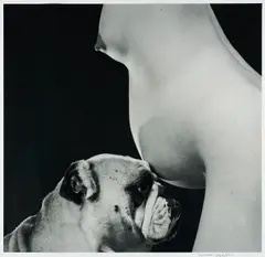 Oleg Kulik, Voyeur, 2000, C-Print