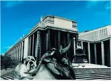 Oleg Kulik, Lenin-Bibliothek / Russische Staatsbibliothek (Aus: Russisch), 1999, C-Print