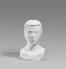 Li Hongbo, Young Man, 2012, Papier und Klebstoff