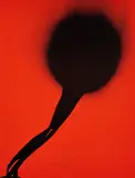 Otto Piene, Jupiter + Jo, 1974, Farbserigrafie auf leichtem Karton