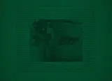 In der Oper (Entscheidung der Frage, ob den Schwämmen Bewußtsein zukommt) by Sigmar Polke, 1973, Offsetlithografie auf grünem Velourspapier, sold Nov 2023
