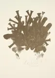 Günther Uecker, Nagelkreuzung, 1987, Offsetlithografie auf Velin