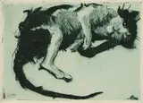 Otto Pankok, Versoffene Katze, 1912, Radierung auf dünnem Japan