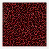 LeftyOutThere, covereverything!, 2019, acrylic on canvas