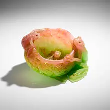Charlie Miner, Frog Bowl, 2008, cast glass