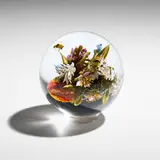 Paul Stankard, Botanical orb