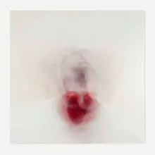 Untitled by Roni Horn, 2003, c-print mounted to acrylic, sold Jul 2022