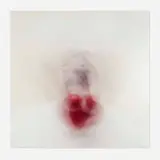 Roni Horn, Untitled